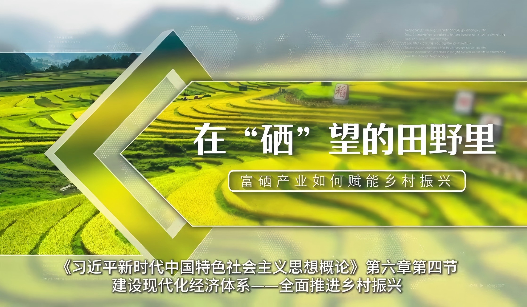 在“硒“望的田野里
